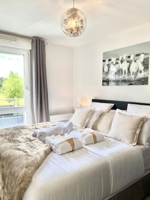 Le Domaine Reserve , Parking Et Ecrin De Verdure Amiens