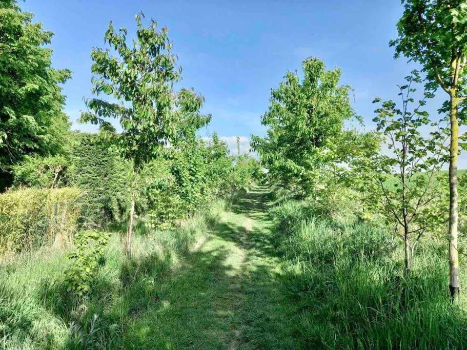 Le Domaine Reserve , Parking Et Ecrin De Verdure Appartement