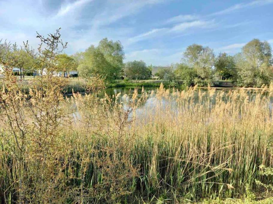 Appartement Le Domaine Reserve , Parking Et Ecrin De Verdure Amiens