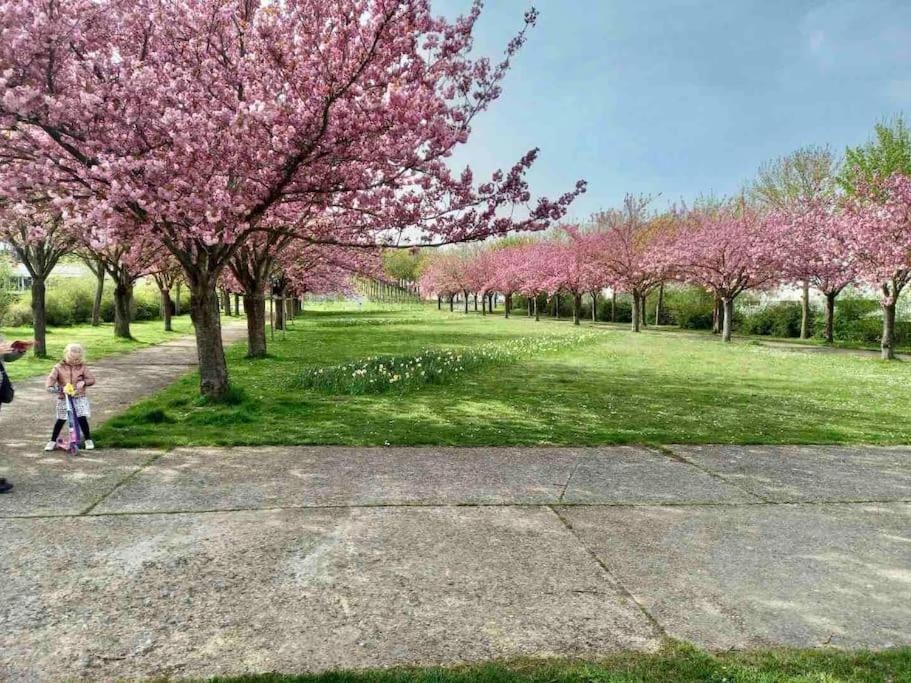 Le Domaine Reserve , Parking Et Ecrin De Verdure Appartement Amiens