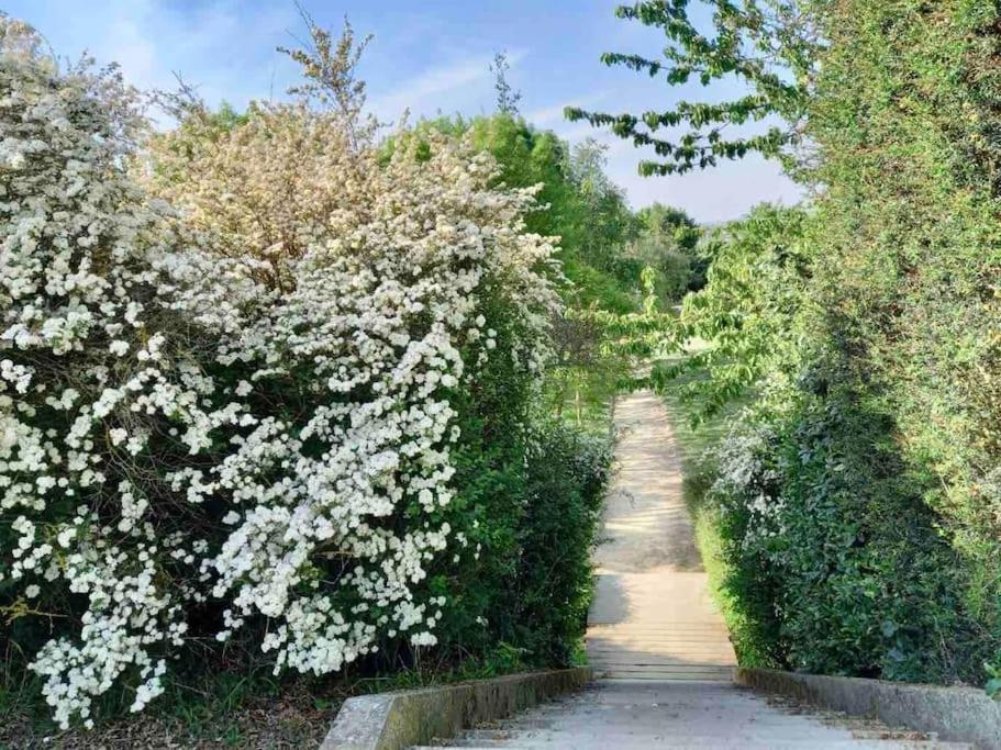 Le Domaine Reserve , Parking Et Ecrin De Verdure Appartement *